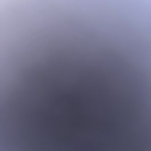 Meet your Posher, Sophia